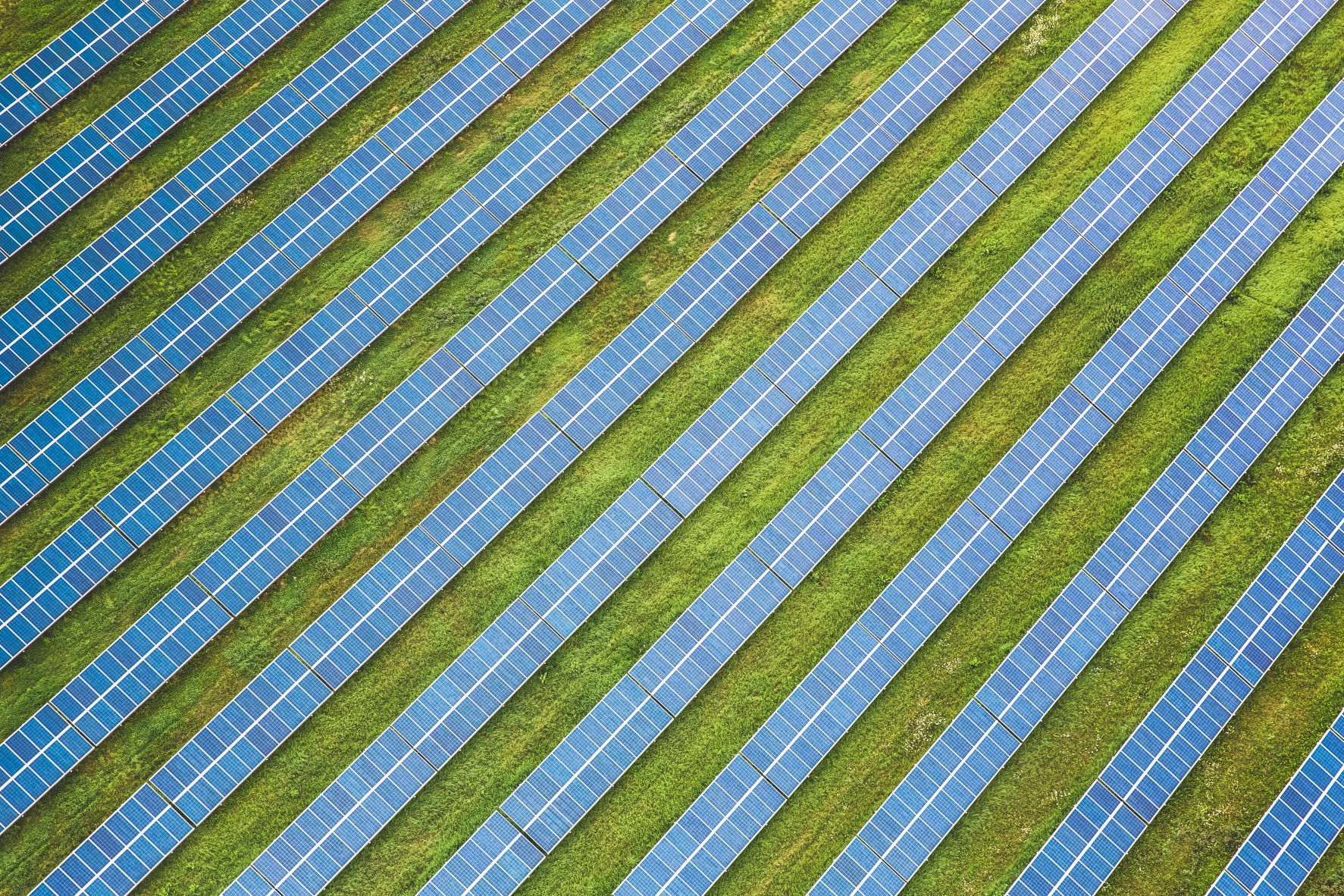 solar farm