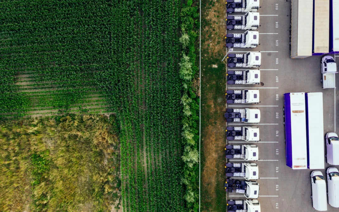 Parked trucks near a parking lot